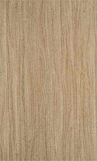 Signature Series 31