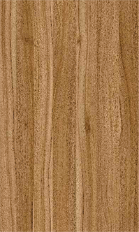 Signature Series 39