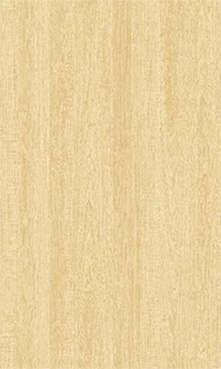 Signature Series 49