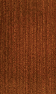Signature Series 61